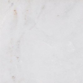 Arabescato Carrara Polished 12X12