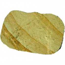 Rustic Canyon Stepping Stone