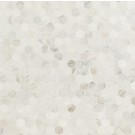 Arabescato Venato White 11.73X12 Hexagon Honed Marble Mosaic Tile