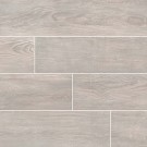 Caldera Coala 8x47 Wood Look Rectified Matte Porcelain Tile