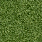 Emerald Green Turf Full Roll 40MM