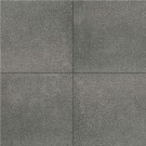 Gray Mist 12X12 Flamed Granite Paver