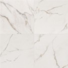 Kaya Calacatta Lucca 24X24 Polished Porcelain Tile