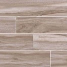 Aspenwood Ash 9X48 Porcelain Tile