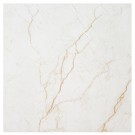 Brighton Gold 24X24 Polished Porcelain Floor and Wall Tile