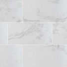 Eden Statuary 24X48 Matte Porcelain Tile