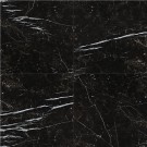 Regallo Marquina Noir 24X24 Polished Porcelain Tile