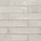 Stella Rhino 2X10 Glossy Ceramic Tile