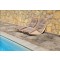 Silver Travertine Paver 8X16 Honed Unfilled Tumbled